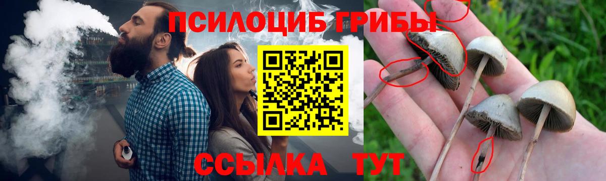 Знаменск  Галлюциногенные грибы MAGIC MUSHROOMS  Вход с VPN 